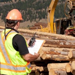 Construction worker with a two-way radio and clipboard at a logging site, ensuring effective communication.
